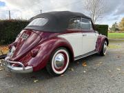 image_10-VOLKSWAGEN Coccinelle Cabriolet - 1959