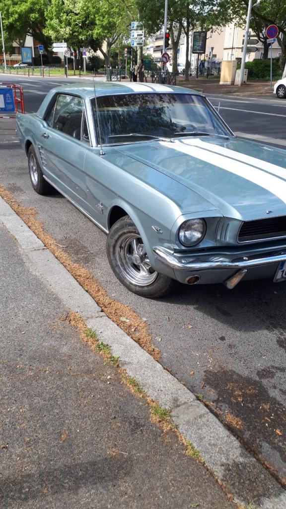 FORD Mustang Coupé - 1966 LesAnciennes.com