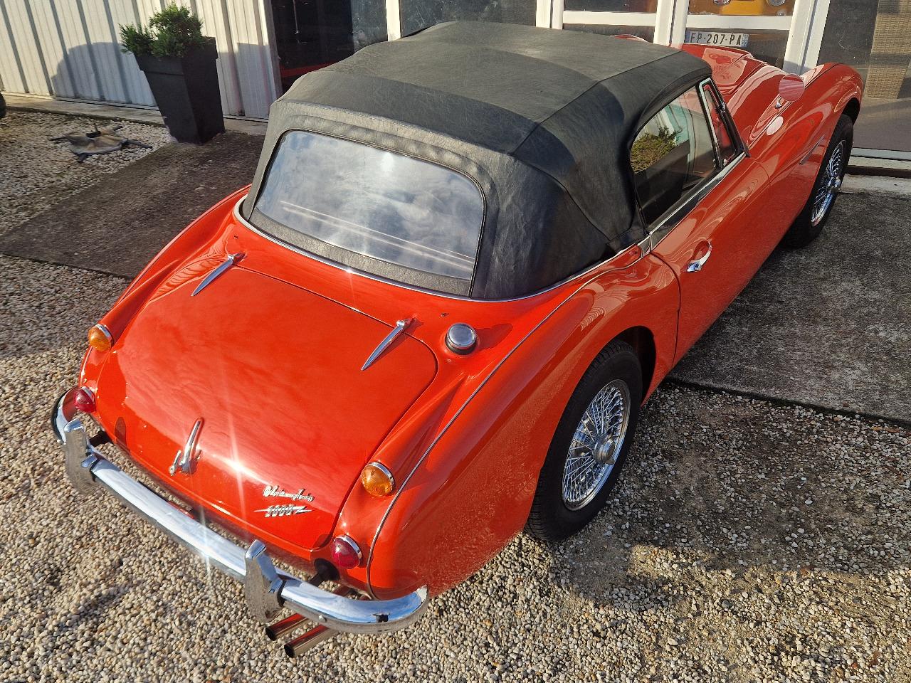 AUSTIN HEALEY 3000 BJ8 - 1966 LesAnciennes.com
