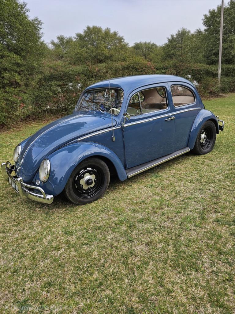 VOLKSWAGEN Coccinelle - 1961 LesAnciennes.com