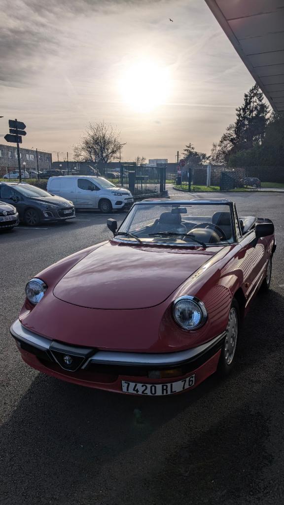 ALFA ROMEO Spider Quadrifoglio Verde - 1987 LesAnciennes.com