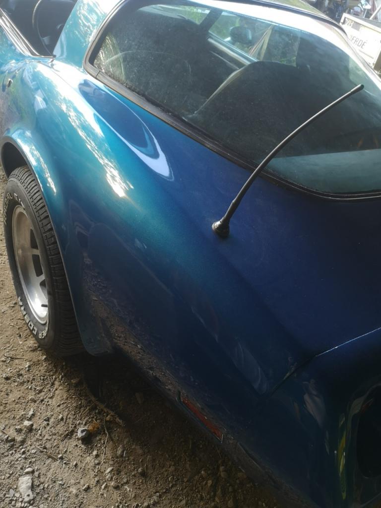 CHEVROLET Corvette C3 Bright blue - 1978 LesAnciennes.com