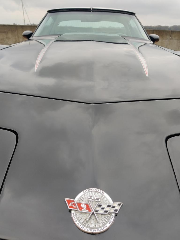 CHEVROLET Corvette C3 T-Top Pace Car - 1978 LesAnciennes.com