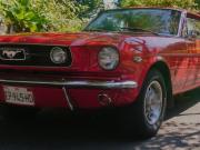 image_1-FORD Mustang - 1966