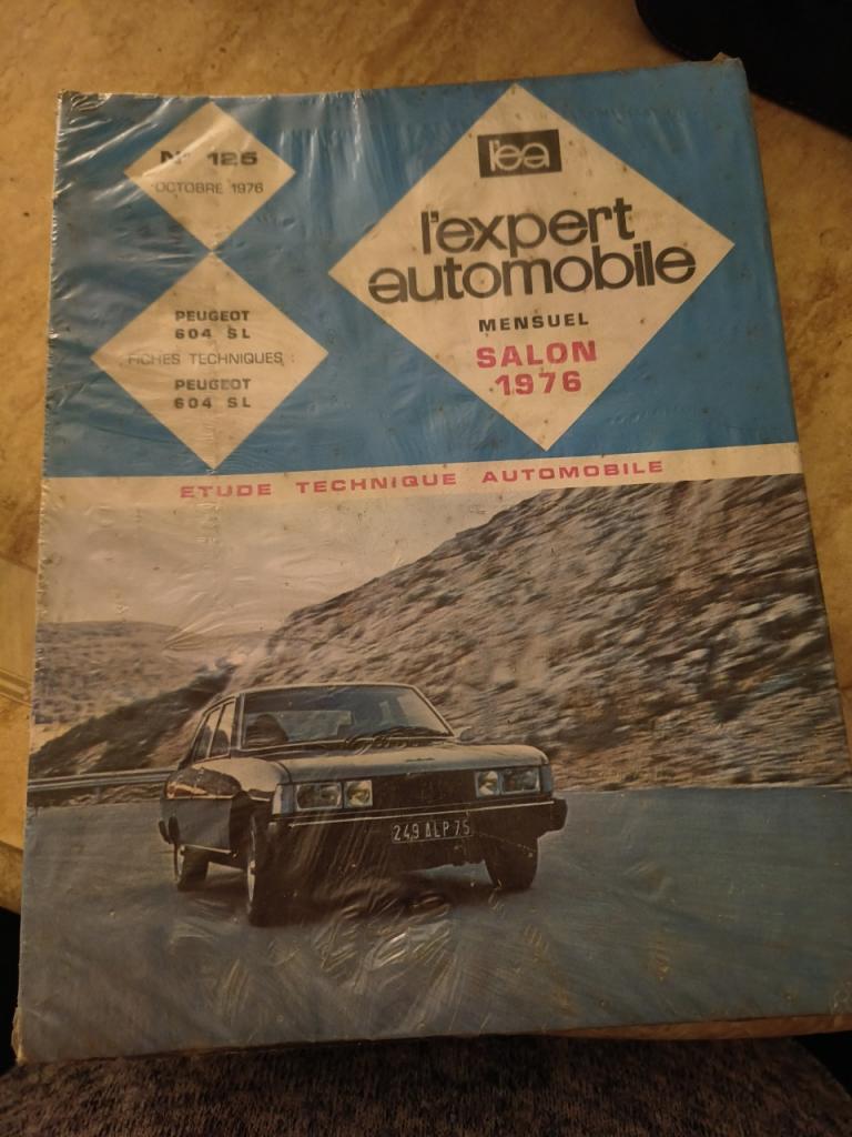 RTA Peugeot 604 SL LesAnciennes.com