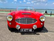 image_2-AUSTIN HEALEY 100 BN4 - 1958