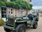 image_0-JEEP Willys CJ5 - 1950
