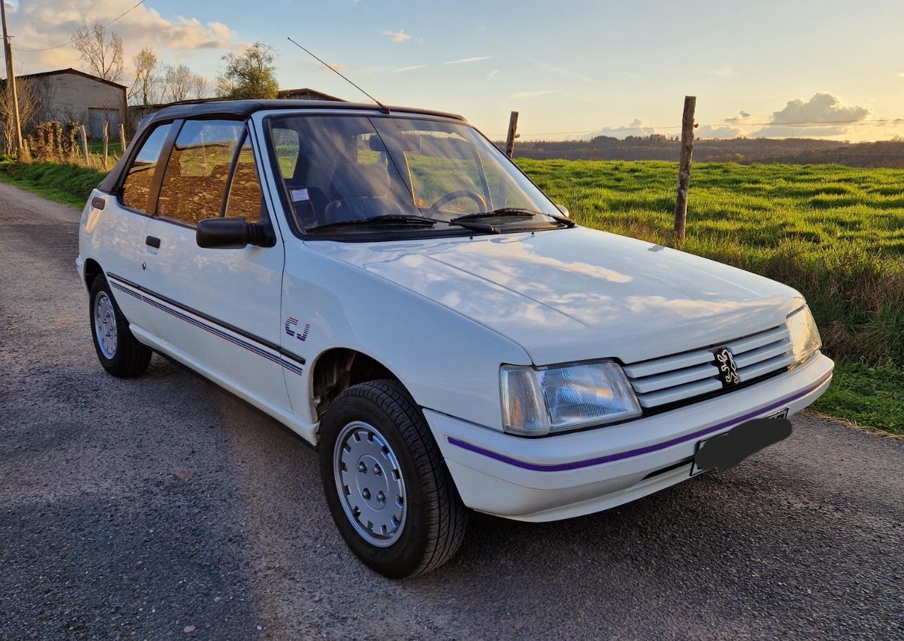 PEUGEOT 205 CJ - 1991 LesAnciennes.com