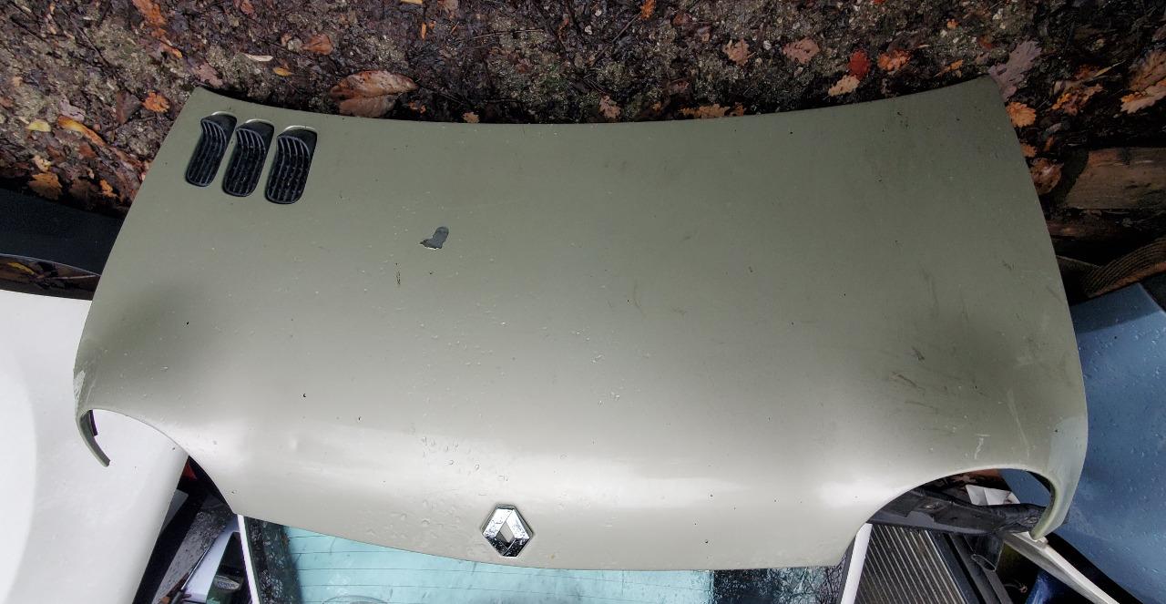 Capot avant TWINGO 1 initiale couleur champagne LesAnciennes.com