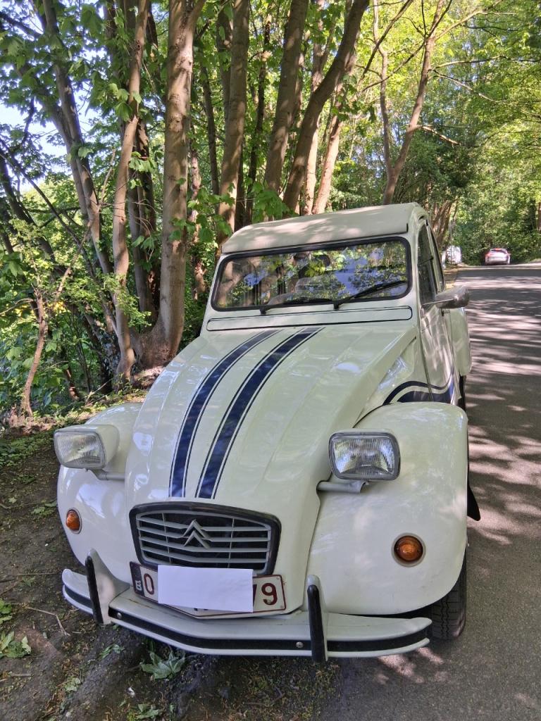 CITROEN 2CV 6 Club - 1984 LesAnciennes.com
