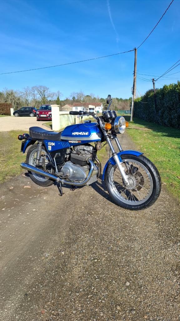 DUCATI 350 GTL - 1980 LesAnciennes.com