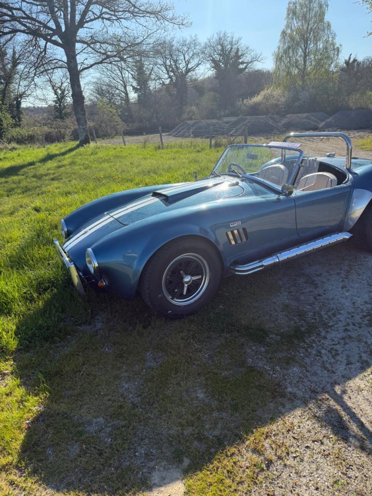 AC Cobra pilgrim - 1981 LesAnciennes.com