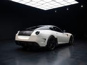 image_2-FERRARI 599 GTB FIORANO MANSORY STALLONE - 2011