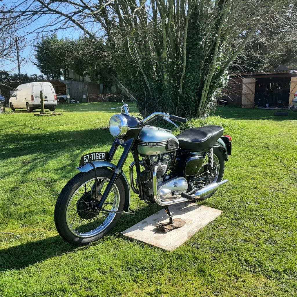 TRIUMPH Tiger 100 T100 - 1957 LesAnciennes.com