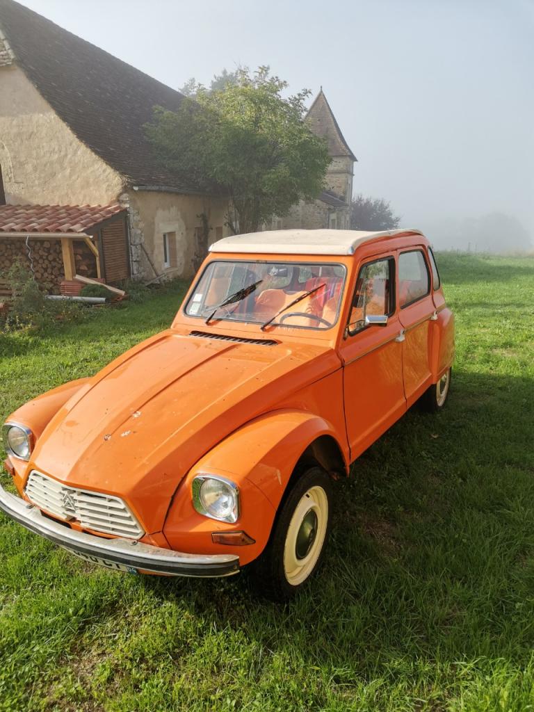 CITROEN Dyane 6 - 1974 LesAnciennes.com