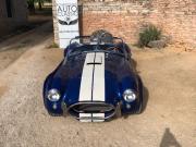image_1-AC Cobra UNIQUE V8 Ford 7L - 1991