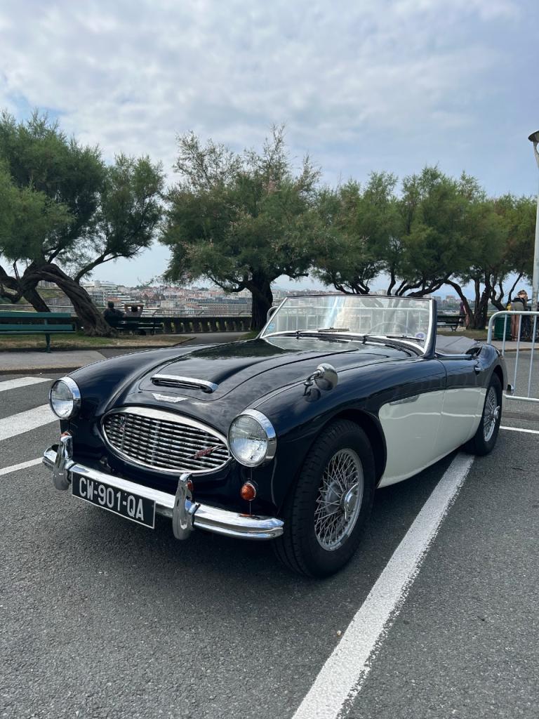 AUSTIN HEALEY 3000 bt7 - 1960 LesAnciennes.com