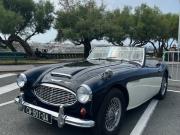 image_0-AUSTIN HEALEY 3000 bt7 - 1960