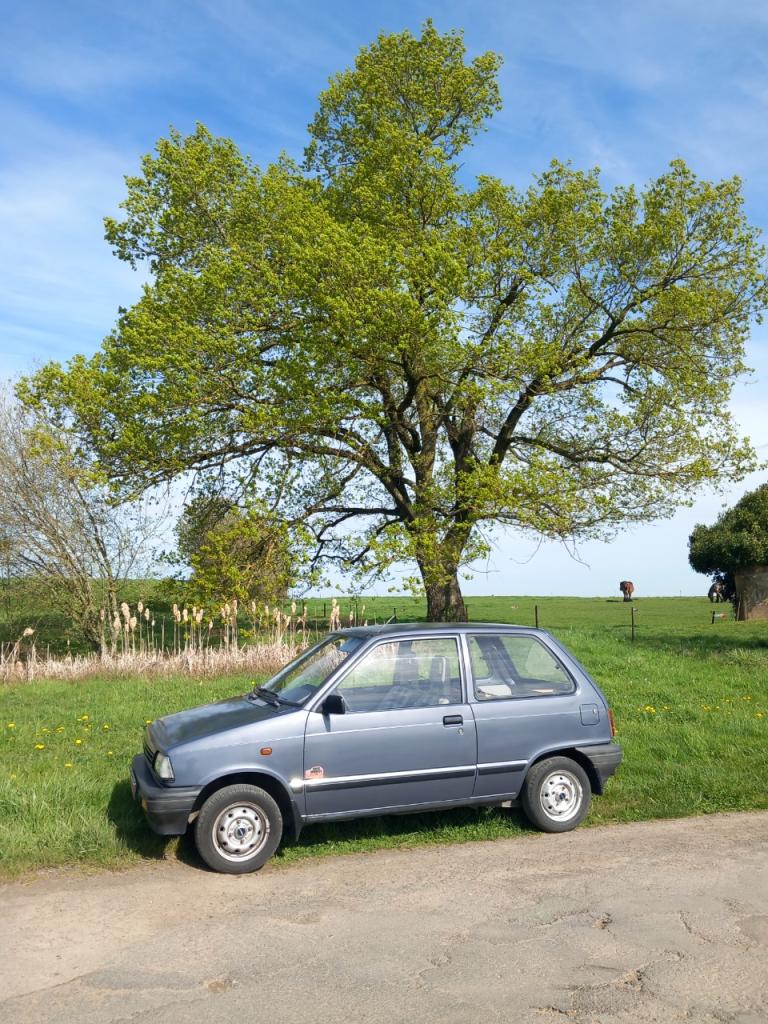 SUZUKI Alto SB 308 - 1989 LesAnciennes.com