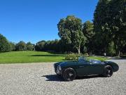 image_3-AUSTIN HEALEY 100 BN1 - 1954