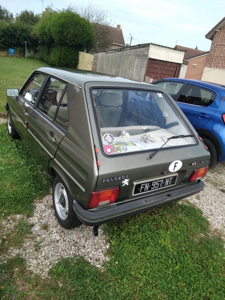 Kit De 2 Vérins De Hayon Pour Peugeot 104 Berline - Neufs D’origine, Prêts à Monter