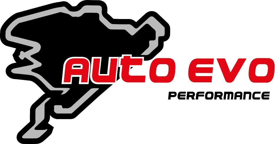 Auto Evo Performance LesAnciennes.com