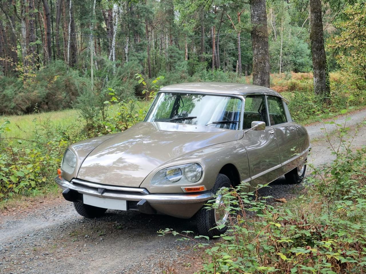 CITROEN DS 23 Pallas IE - 1975 LesAnciennes.com