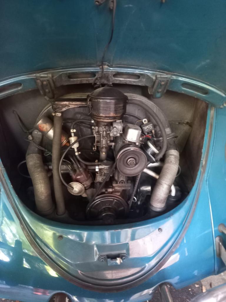 1964 VOLKSWAGEN Coccinelle, foto 6