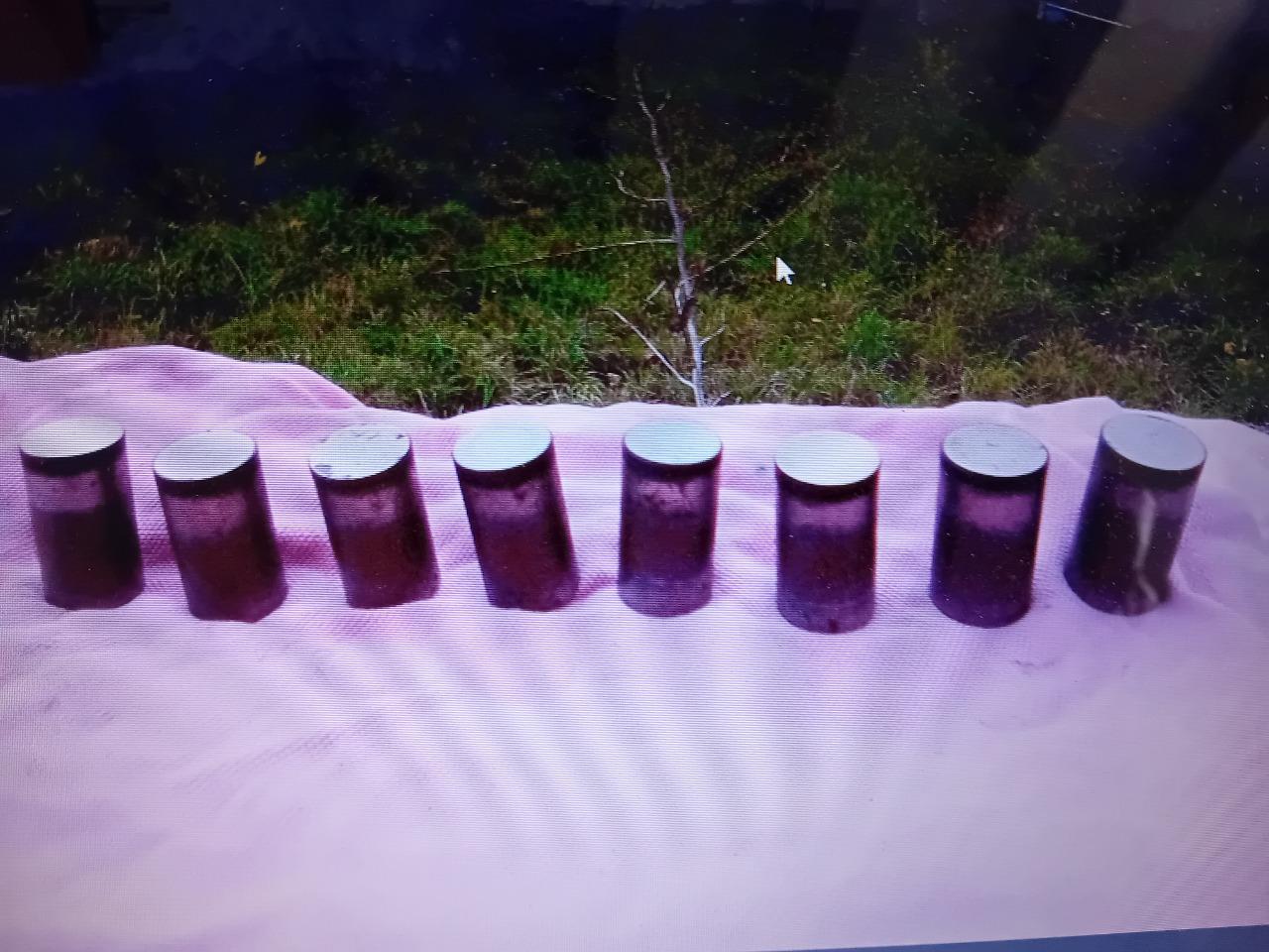 Poussoirs RENAULT 12 (R12) LesAnciennes.com