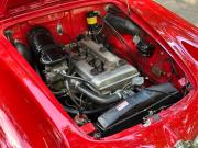image_52-ALFA ROMEO Giulietta Spider 750D - 1957