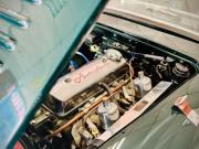 image_14-AUSTIN HEALEY 100 BN1 - 1954