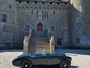 image_2-AUSTIN HEALEY 100 BN1 - 1954