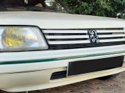 image_5-PEUGEOT 205 Green - 1989