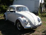 image_2-VOLKSWAGEN Coccinelle - 1967