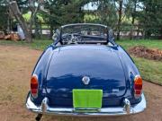 image_15-ALFA ROMEO Giulia Ld123 - 1965