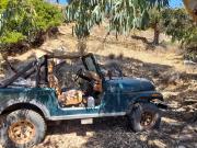 image_3-JEEP CJ 7 , 6 cyl. 4.2 litre - 1980
