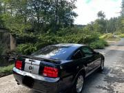 image_4-FORD Mustang