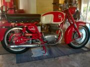 image_0-GILERA B300 Extra - 1969