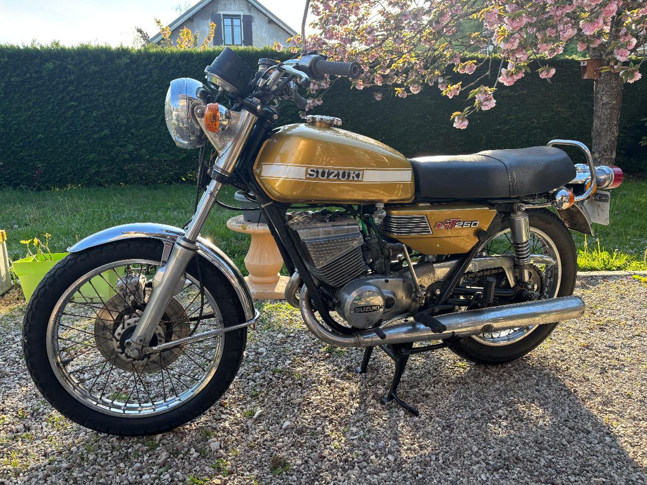 SUZUKI GT 250 GT - 1975 LesAnciennes.com
