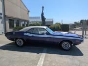 image_100-DODGE Challenger 440 six pack R/T - 1971