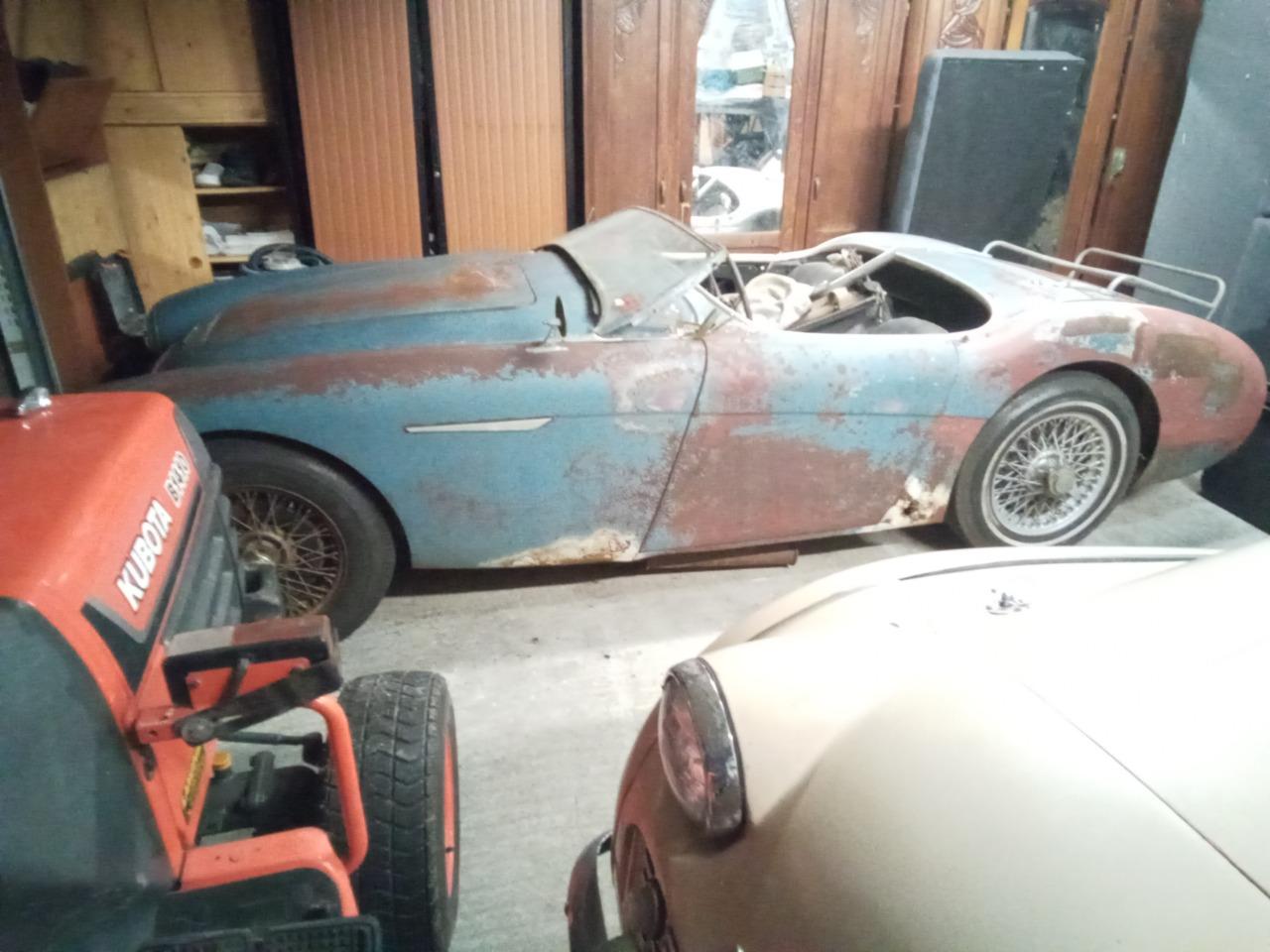 AUSTIN HEALEY 100 BN2 - 1956 LesAnciennes.com