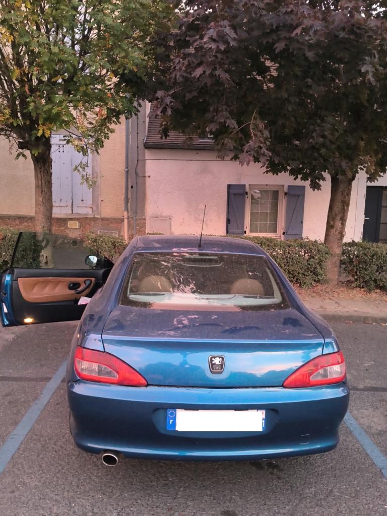 2001 Peugeot 406, foto 4