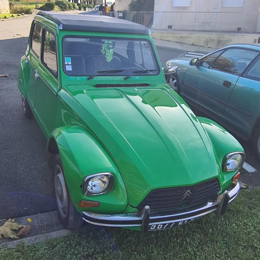 CITROEN Dyane 6 - 1976 LesAnciennes.com