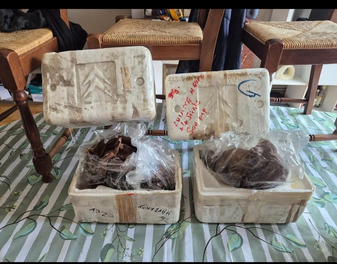 Pièces CITROEN 2CV LesAnciennes.com