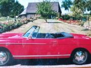 image_2-PEUGEOT 404 Cabriolet - 1966
