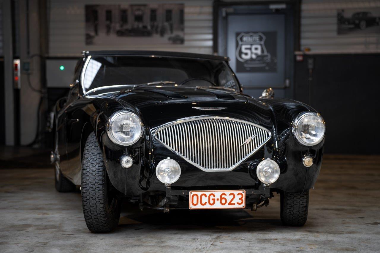 AUSTIN HEALEY 100 BN1 - 1955 LesAnciennes.com