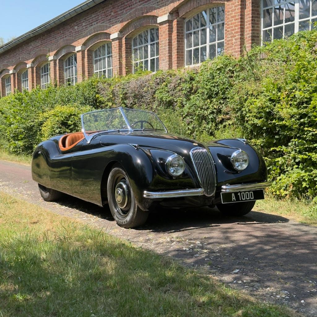JAGUAR XK120 - 1951 LesAnciennes.com