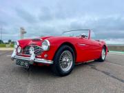 image_4-AUSTIN HEALEY 3000 MkI BT7 - 1960