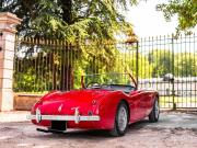 image_2-AUSTIN HEALEY 100 BN1 - 1955