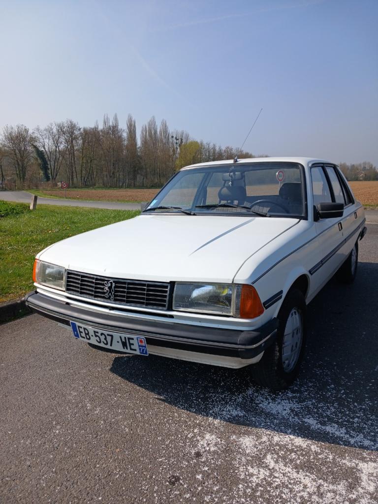 1987 Peugeot 305, foto 2